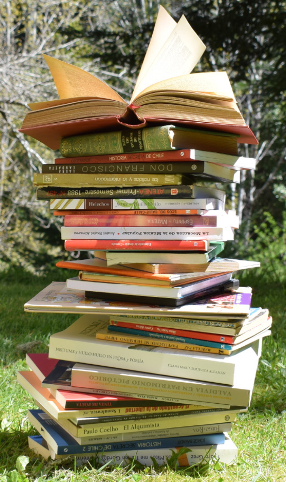 Feria del Libro