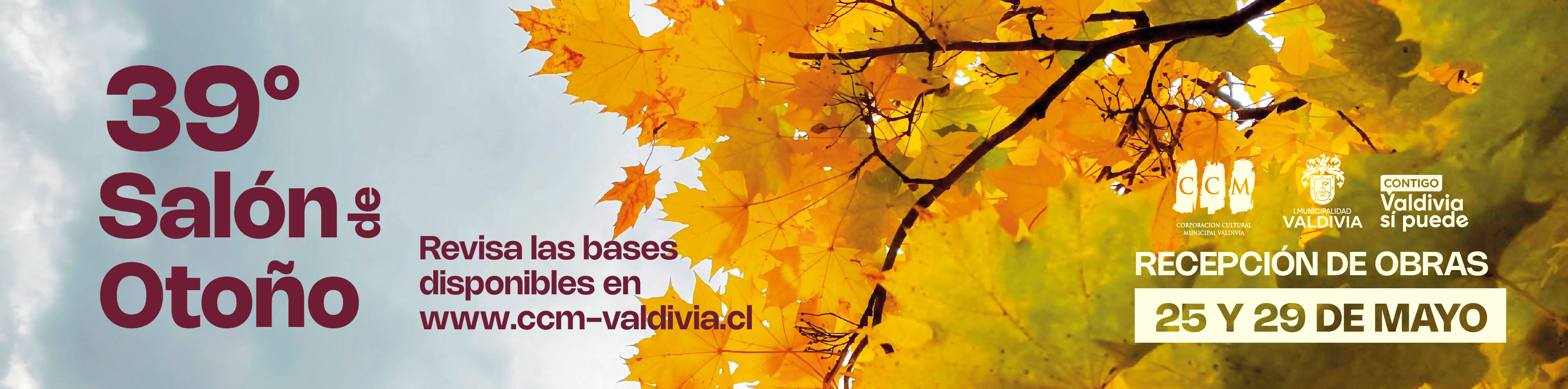 BASES
